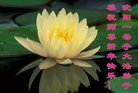 ���ֹ�,�����󷨵��ӹ�ףʦ�������(26��)