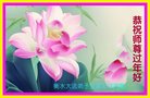 ���ֹ�,�ӱ��󷨵��ӹ�ףʦ�������(24��)