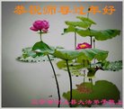 ���ֹ�,���ݴ󷨵��ӹ�ףʦ�������(23��)