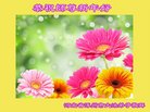 ���ֹ�,�����󷨵��ӹ�ףʦ�������(24��)