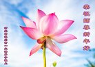 ���ֹ�,�����󷨵��ӹ�ףʦ�������(24��)