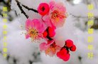 ���ֹ�,�����󷨵��ӹ�ףʦ�������(25��)