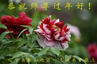 ���ֹ�,�����󷨵��ӹ�ףʦ�������(21��)