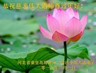 ���ֹ�,�ػʵ��󷨵��ӹ�ףʦ�������(21��)