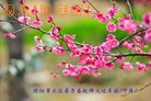 ���ֹ�,�����󷨵��ӹ�ףʦ�������(26��)