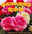 ���ֹ�,ʯ��ׯ�󷨵��ӹ�ףʦ�������(25��)