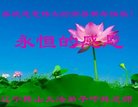 ���ֹ�,�����󷨵��ӹ�ףʦ�������(24��)