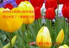 ���ֹ�,�żҿڴ󷨵��ӹ�ףʦ�������(21��)