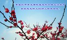���ֹ�,�ػʵ��󷨵��ӹ�ףʦ�������(25��)