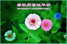 ���ֹ�,�ӱ��󷨵��ӹ�ףʦ�������(21��)