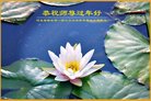 ���ֹ�,�ӱ��󷨵��ӹ�ףʦ�������(21��)