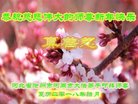 ���ֹ�,�ӱ��󷨵��ӹ�ףʦ�������(19��)