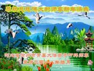 ���ֹ�,�ӱ��󷨵��ӹ�ףʦ�������(19��)