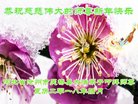 ���ֹ�,�ӱ��󷨵��ӹ�ףʦ�������(19��)