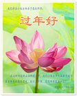 ���ֹ�,�����󷨵��ӹ�ףʦ�������(22��)