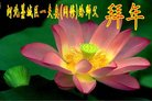 ���ֹ�,ʯ��ׯ�󷨵��ӹ�ףʦ�������(23��)