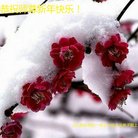 ���ֹ�,ɽ���󷨵��ӹ�ףʦ�������(23��)