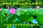 ���ֹ�,�ӱ��󷨵��ӹ�ףʦ�������(22��)