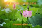 ���ֹ�,���ݴ󷨵��ӹ�ףʦ�������(23��)
