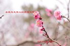 ���ֹ�,�����󷨵��ӹ�ףʦ�������(26��)