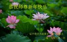 ���ֹ�,�����󷨵��ӹ�ףʦ�������(18��)