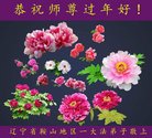 ���ֹ�,�����󷨵��ӹ�ףʦ�������(18��)