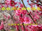 ���ֹ�,�����󷨵��ӹ�ףʦ�������(24��)
