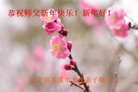 ���ֹ�,��Ϫ�󷨵��ӹ�ףʦ�������(22��)
