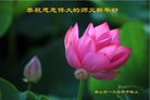 ���ֹ�,��ɽ�󷨵��ӹ�ףʦ�������(27��)