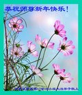 ���ֹ�,ʯ��ׯ�󷨵��ӹ�ףʦ�������(23��)