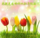 ���ֹ�,�ȷ��󷨵��ӹ�ףʦ�������(24��)