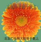 ���ֹ�,�����󷨵��ӹ�ףʦ�������(27��)