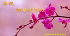 ���ֹ�,�����󷨵��ӹ�ףʦ�������(24��)
