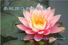 ���ֹ�,ʯ��ׯ�󷨵��ӹ�ףʦ�������(19��)