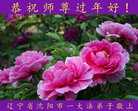 ���ֹ�,�����󷨵��ӹ�ףʦ�������(24��)