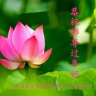 ���ֹ�,�ػʵ��󷨵��ӹ�ףʦ�������(22��)