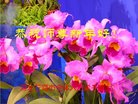 ���ֹ�,�ȷ��󷨵��ӹ�ףʦ�������(24��)