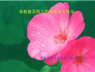 ���ֹ�,�ӱ��󷨵��ӹ�ףʦ�������(20��)
