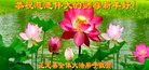 ���ֹ�,ʯ��ׯ�󷨵��ӹ�ףʦ�������(19��)