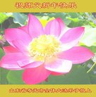 ���ֹ�,Ϋ���󷨵��ӹ�ףʦ�������(26��)