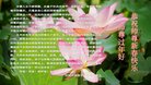 ���ֹ�,�����󷨵��ӹ�ףʦ�������(24��)