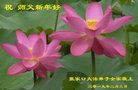 ���ֹ�,�żҿڴ󷨵��ӹ�ףʦ�������(22��)