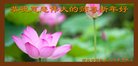 ���ֹ�,ʯ��ׯ�󷨵��ӹ�ףʦ�������(19��)