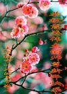 ���ֹ�,�����󷨵��ӹ�ףʦ�������(19��)