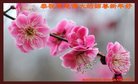 ���ֹ�,ʯ��ׯ�󷨵��ӹ�ףʦ�������(19��)