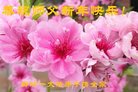 ���ֹ�,�ȷ��󷨵��ӹ�ףʦ�������(24��)