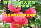 ���ֹ�,�żҿڴ󷨵��ӹ�ףʦ�������(20��)