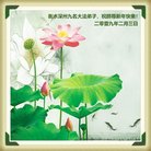 ���ֹ�,�ӱ��󷨵��ӹ�ףʦ�������(24��)