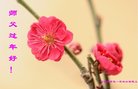 ���ֹ�,ʯ��ׯ�󷨵��ӹ�ףʦ�������(27��)