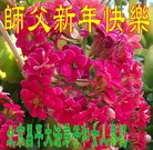 ���ֹ�,�����󷨵��ӹ�ףʦ�������(23��)